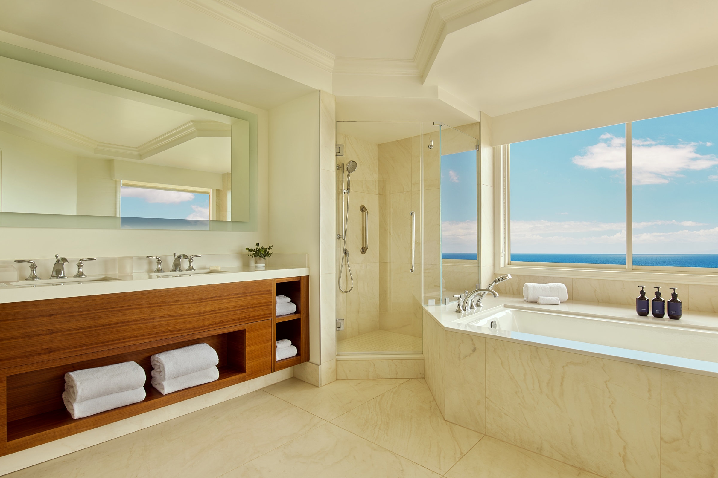 Deluxe Suite Bathroom