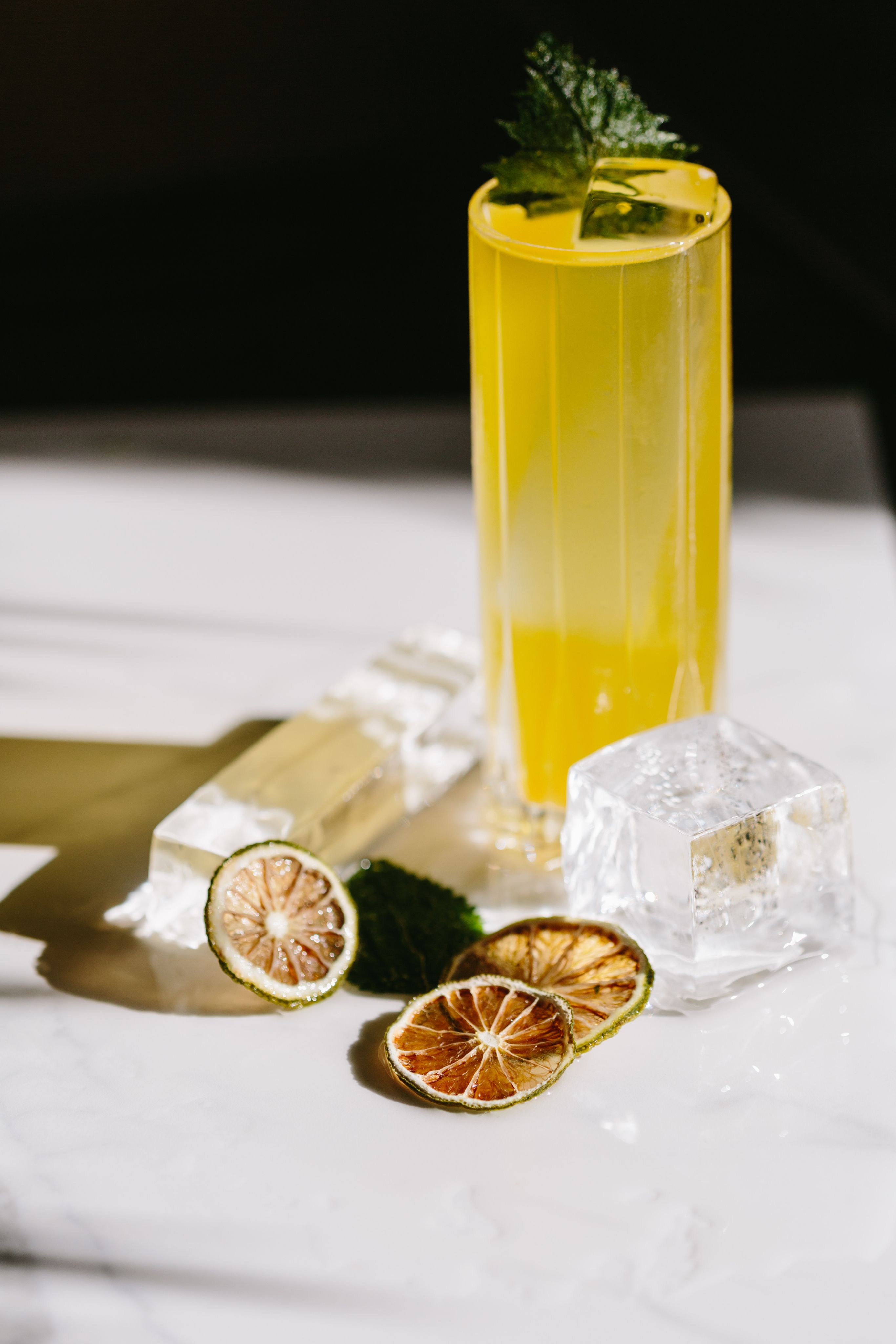 A citrus cocktail in a highball glass next to some blocks of ice and dried citrus