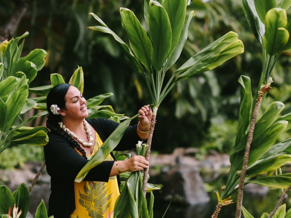 A woman picks large plant leaves from a tree