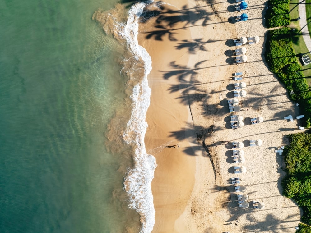 An aerial view of a coastline lined with beach umbrellas