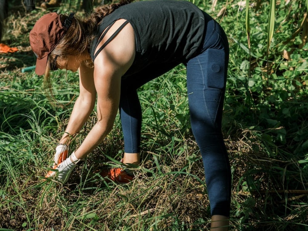 A person doing garden work