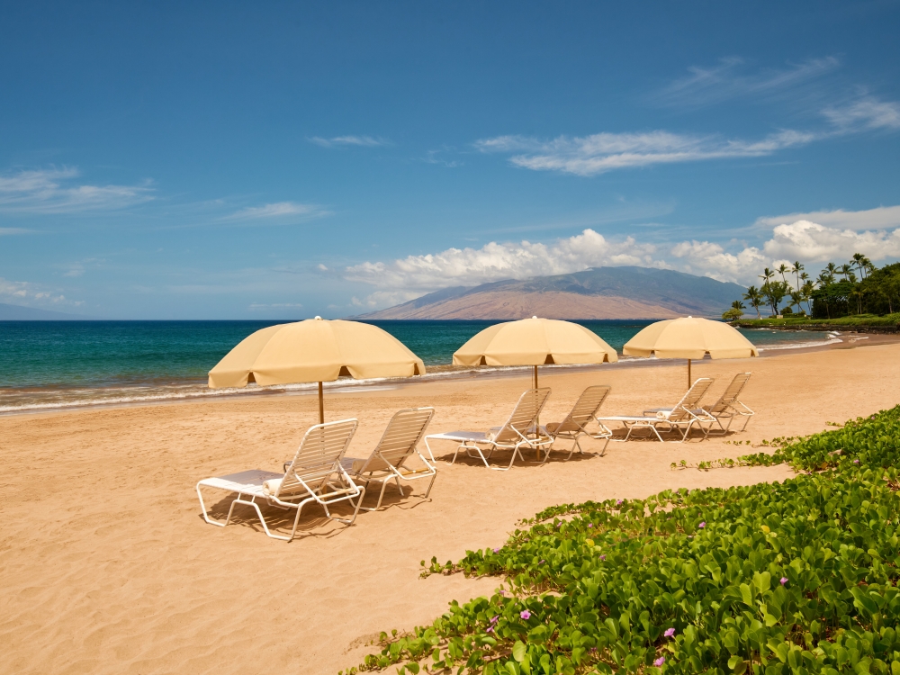 beach loungers & umbrellas setup.jpg