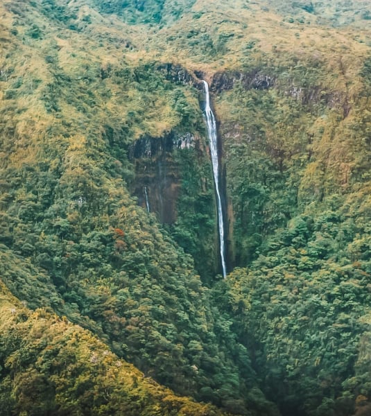 a waterfall amongst a forest of trees