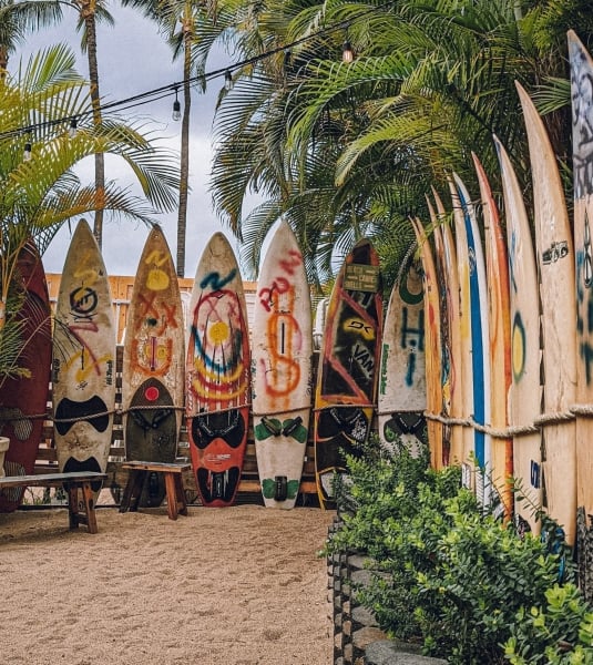 Surf Shack surfboards