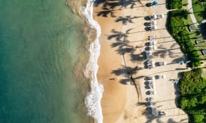 An aerial view of a coastline lined with beach umbrellas