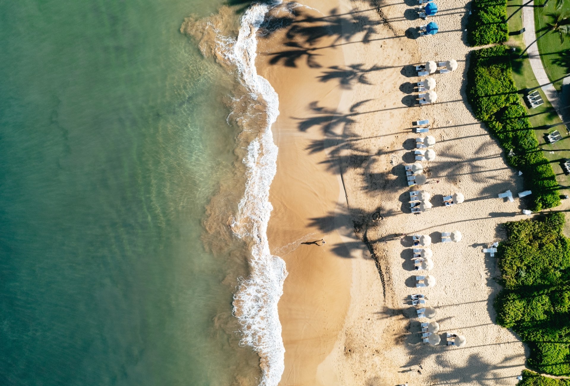 An aerial view of a coastline lined with beach umbrellas