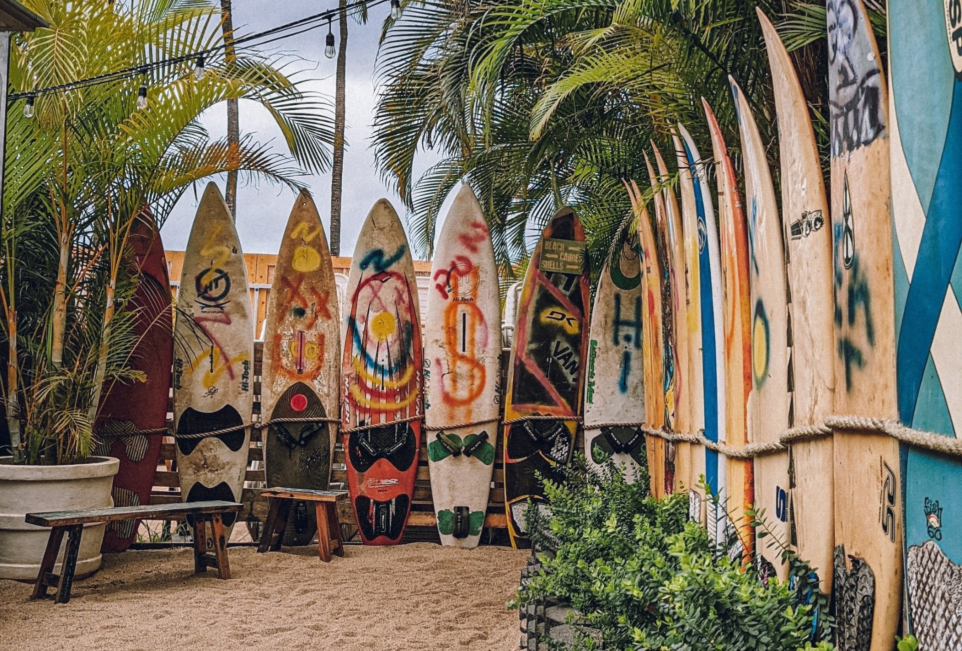 Surf Shack surfboards