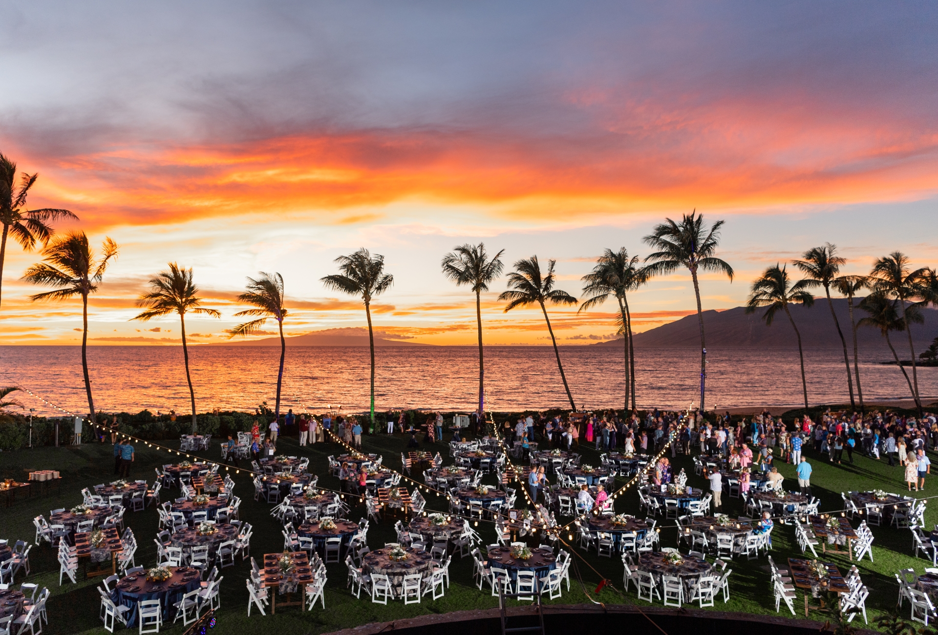 molokini garden sales sunset